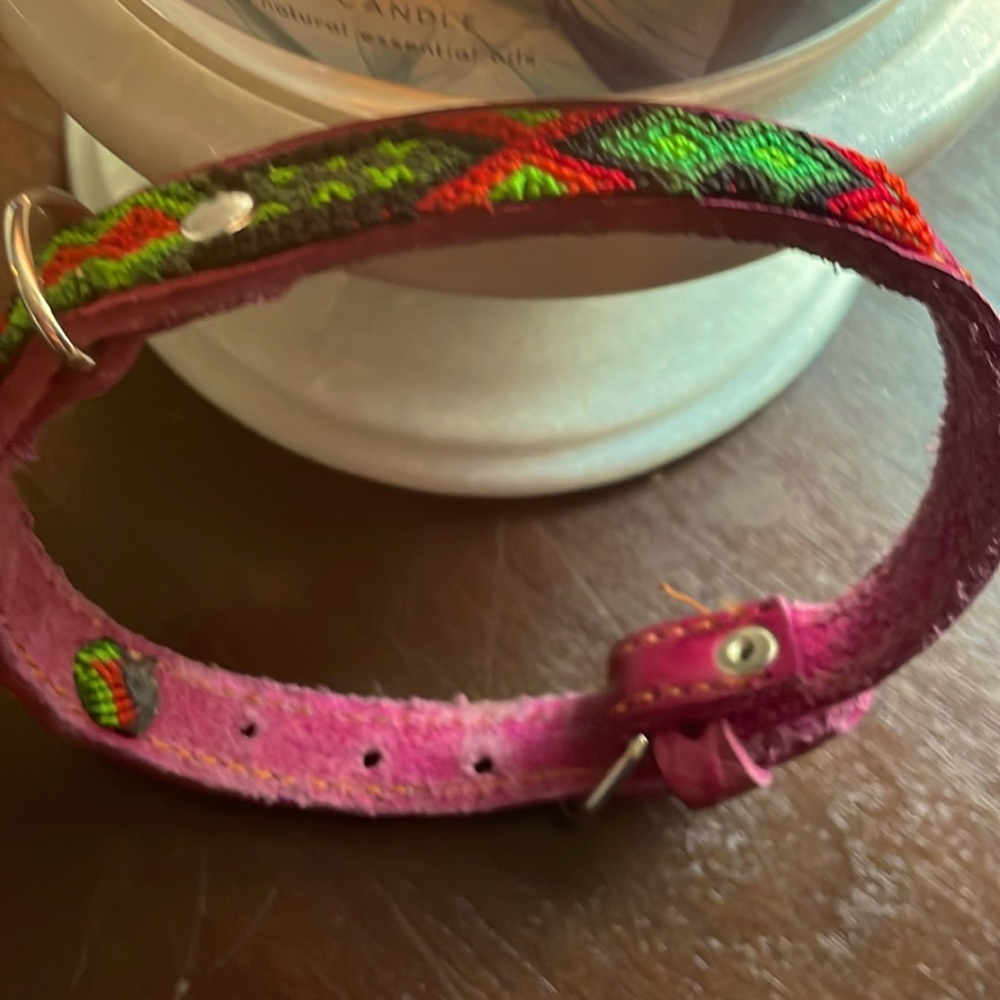 Leather doggie collar! Pink leather w green pattern! Never used, didn’t fit Pom!